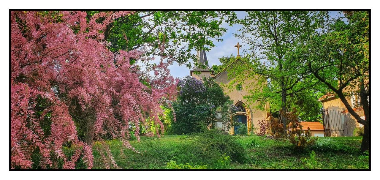 Chateau De Logne Ay-sur-Moselle Buitenkant foto