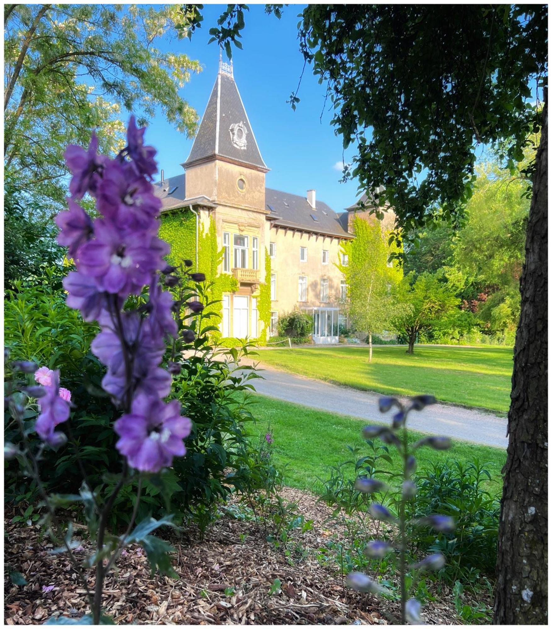 Chateau De Logne Ay-sur-Moselle Buitenkant foto