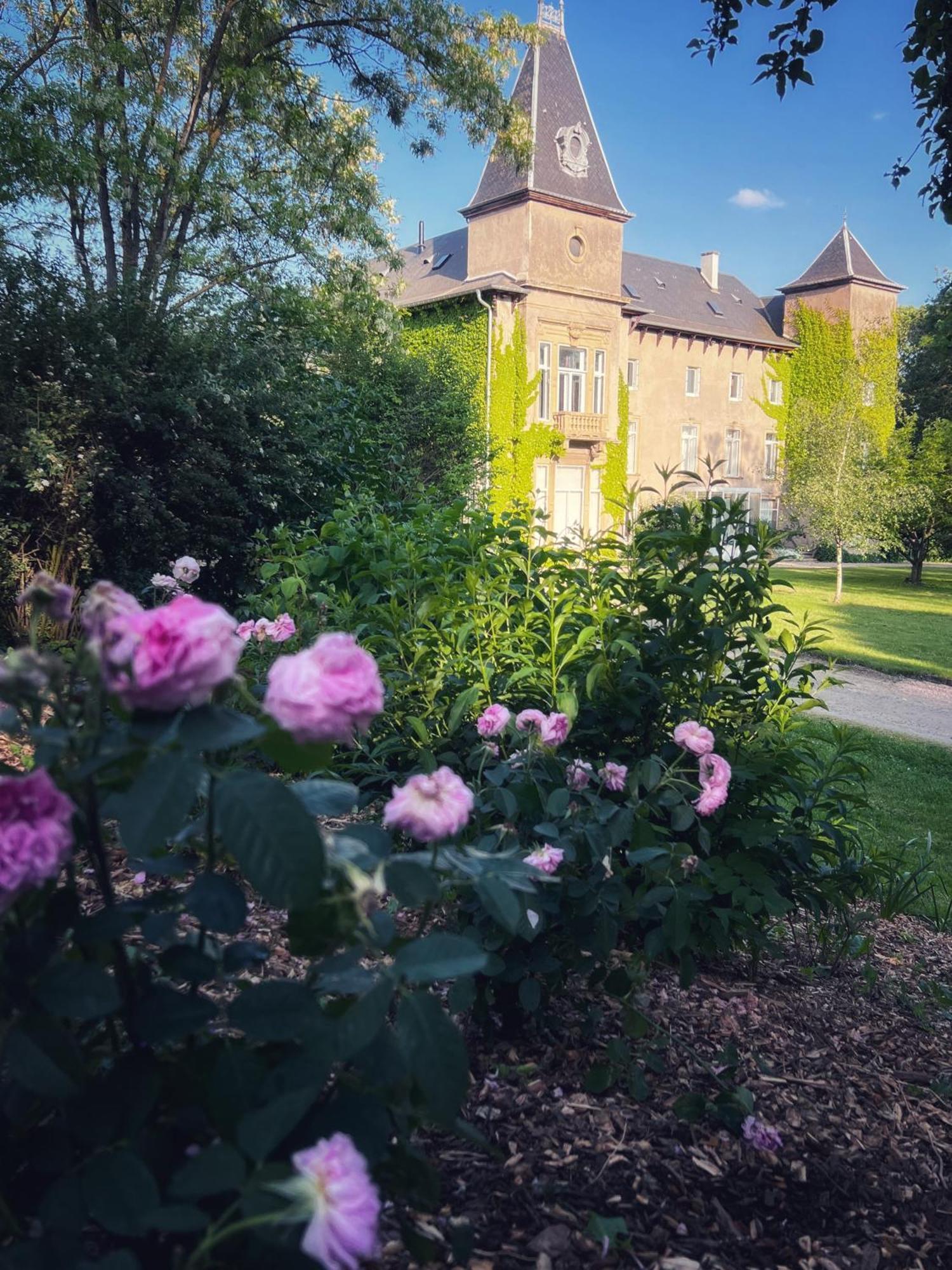 Chateau De Logne Ay-sur-Moselle Kamer foto